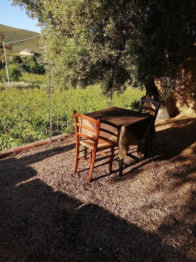 Monolocale Pisturri Apartment Magomadas Italy